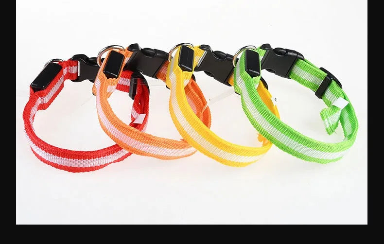 Dog Collar With LED Night
