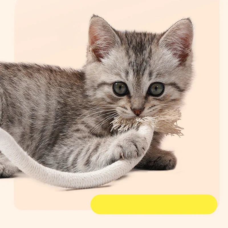 Cat Chew Toys - Interactive Molar Cotton Rope
