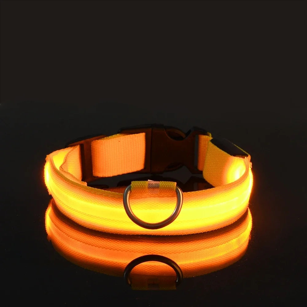 Dog Collar With LED Night