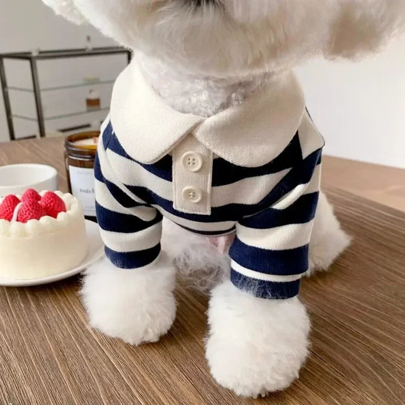 Striped Polo Shirt