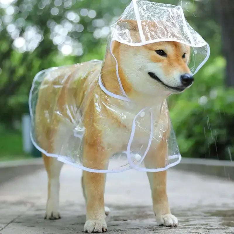 Puppy Transparent Hooded Waterproof Rainwear
