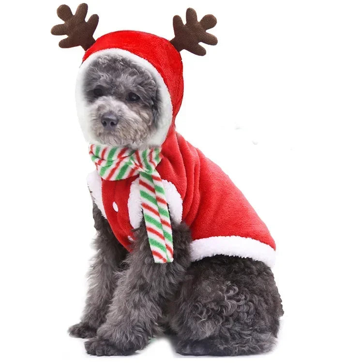Christmas Pet Clothes