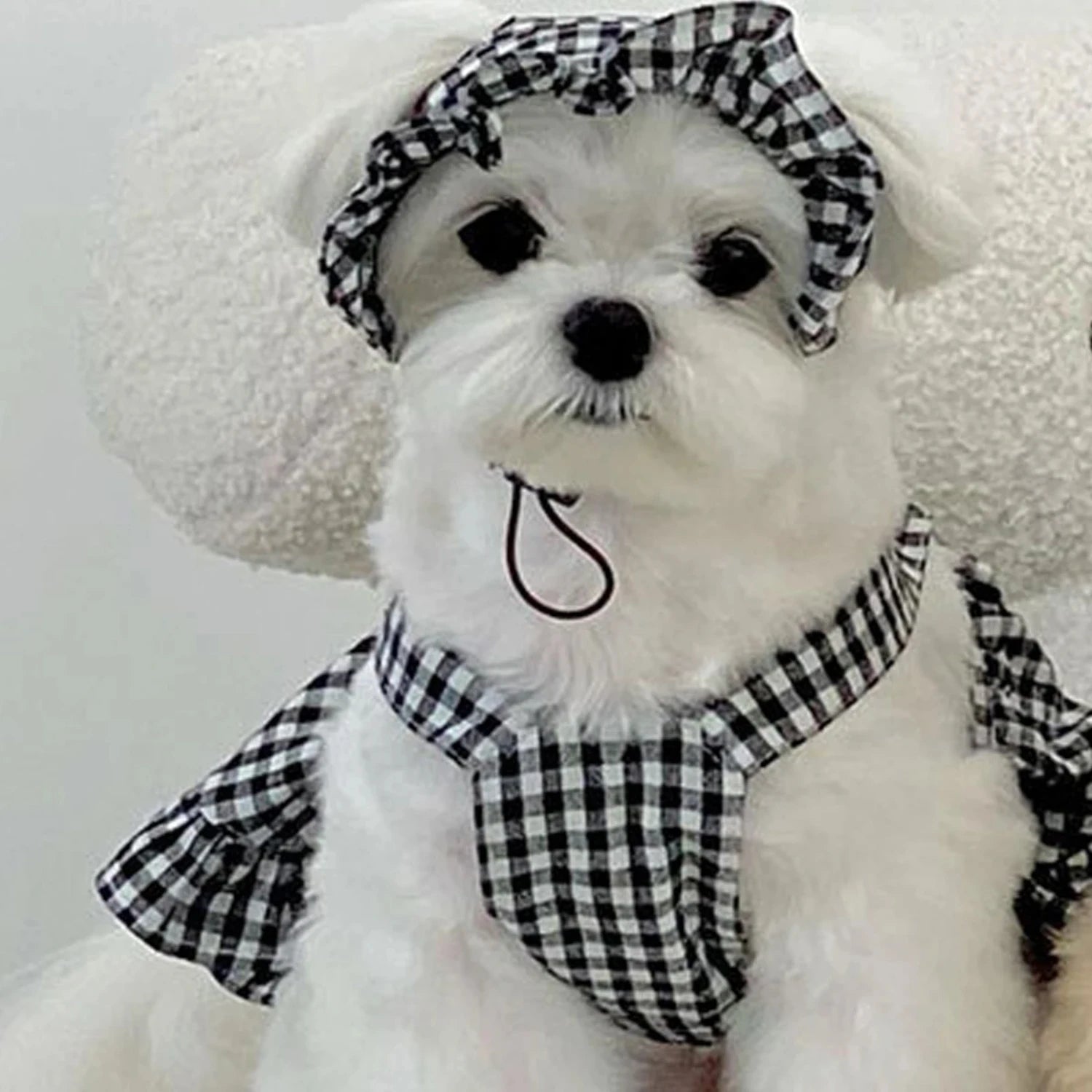 Modern Style Plaid Skirt With Hat