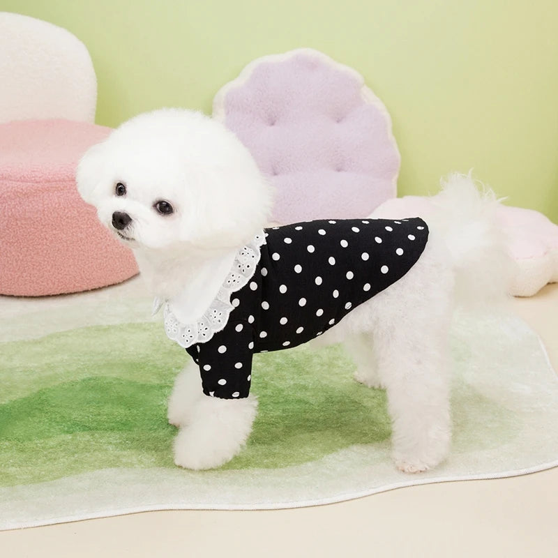 Cute Polka Dotted Lace Bow Black Puppy Shirt