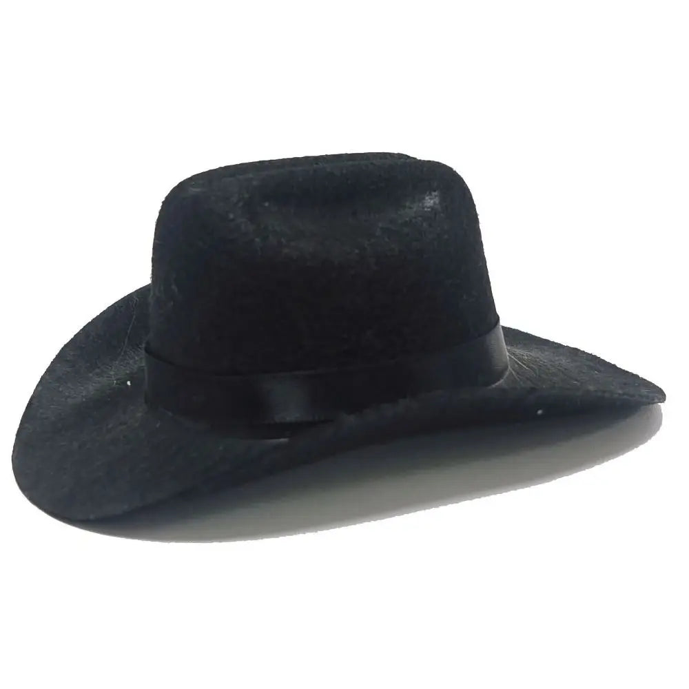 Adjustable Pet Crowboy Hat