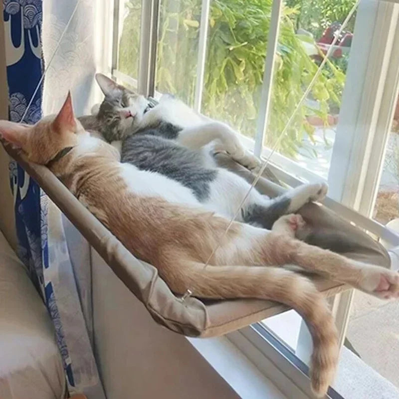 Window Hanging Cat Bed