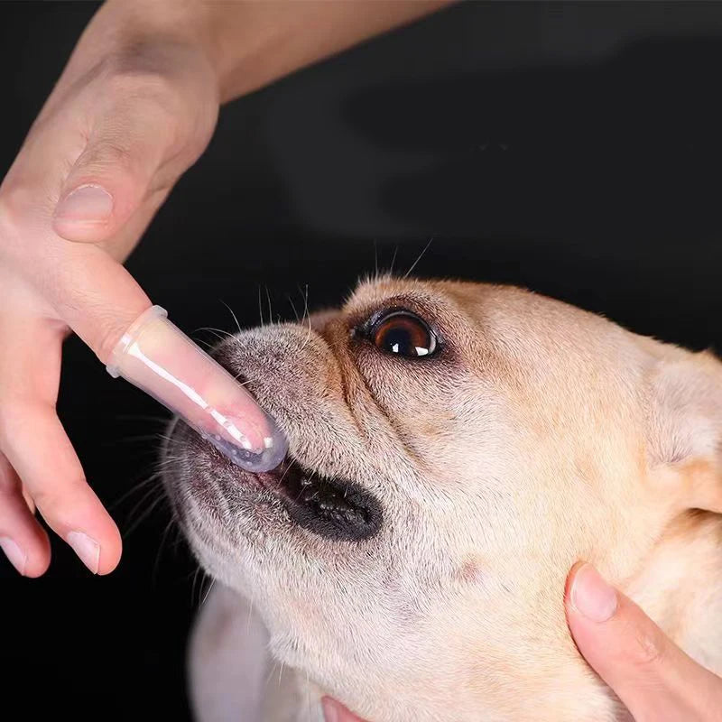 Soft Pet Finger Toothbrushes Dog
