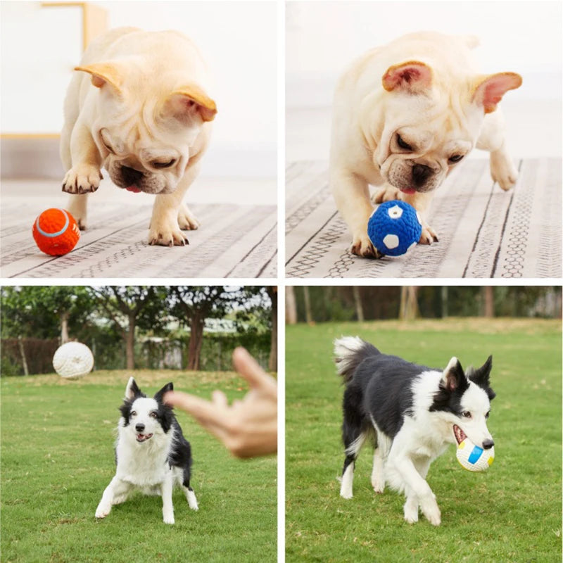 Soft Pet Ball Squeaky Toy