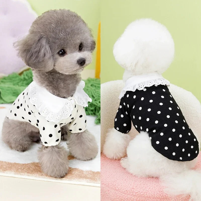 Cute Polka Dotted Lace Bow Black Puppy Shirt