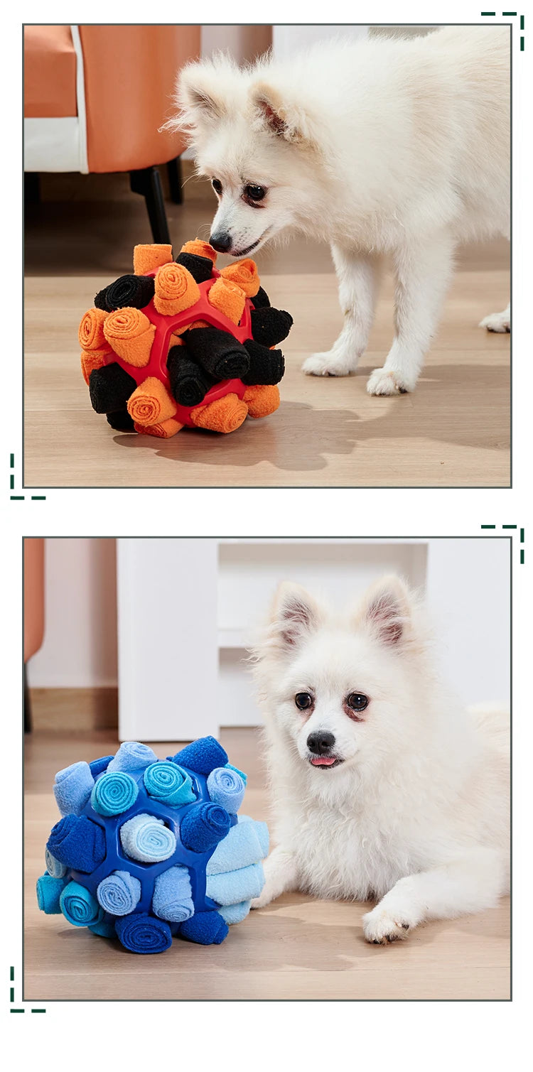 Pet Sniffing Ball