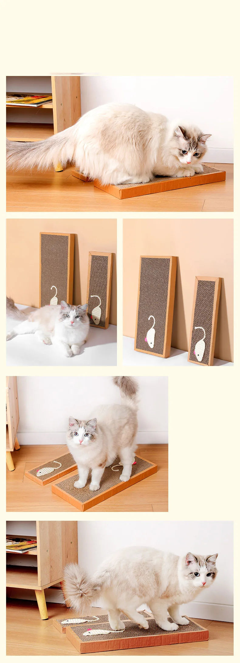 Cat Scratching Board