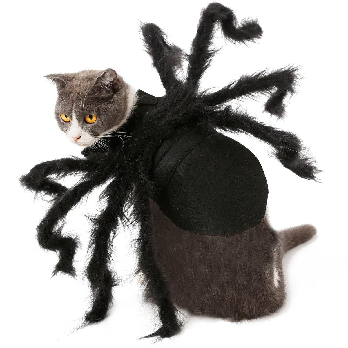 Spider Costume